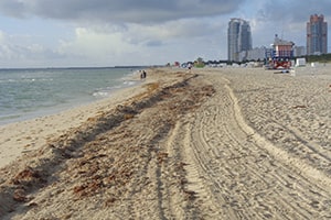 Endless Beach and Hotels.