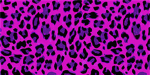 Leopard Print On a Pink Background.