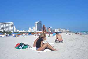 Best Time South Miami | Climate, Prices & Social Activities